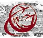 Offshore Aviation Group