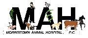 MORRISTOWN ANIMAL HOSPITAL Logo