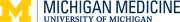 Michigan Balance Vestibular... Logo