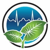 University of Hawaii Logo