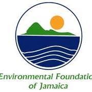 Environmental Foundation of Jamaica Logo