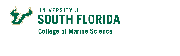 University of South Florida... Logo