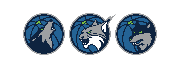 Minnesota Timberwolves and Lynx