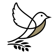 Bellwether Investment Management Logo