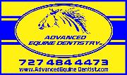Advanced Equine Dentistry Inc Logo