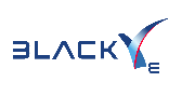 BlackVe Inc. Logo