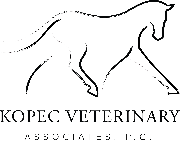 Kopec Veterinary Associates,... Logo
