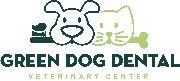 Director of Surgery Logo