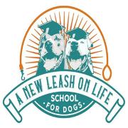 A New Leash on Life - School for Dogs