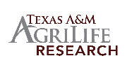 Texas A&M AgriLife Research Logo