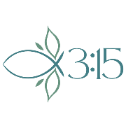 315 LLC Logo