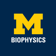 University of Michigan Biophysics Logo