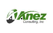 Anez Consulting, Inc. Logo