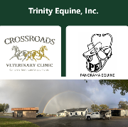 Associate Equine Veterinarian Logo