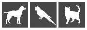 ENGLEWOOD VETERINARY CENTER Logo
