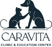Caravita Clinic & Education... Logo