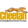 Cheetah Conservation Fund