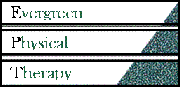 Evergreen Physical Therapy