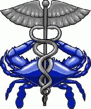 Chesapeake Regional Information System for our Patients