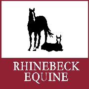 Rhinebeck Equine