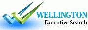 Wellington Executive Search, Inc.