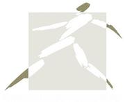 Physical Therapy Options, PC