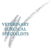 AVSG Urgent Care Logo