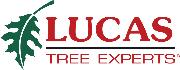 Lucas Tree Expert Co, Inc