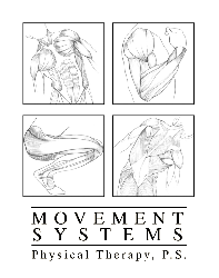 Movement Systems Physical Therapy