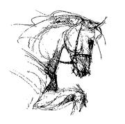 Sweet River Equine Clinic Inc
