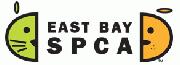 East Bay SPCA