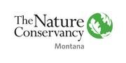 The Nature Conservancy Logo