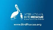 International Bird Rescue