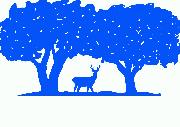 Deer Oaks - A Behavioral Health Organization