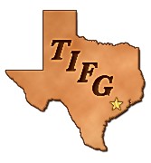 Texans Insurance & Financial Group Inc