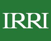 International Rice Research Institute (IRRI)