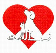 Alto Tiburon Veterinary Hospital