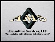 AMS Consulting Services LLC