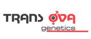 Trans Ova Genetics Trans Ova Genetics