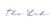 The Lab Inc The Lab Inc