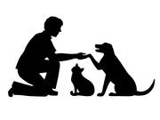 Davies Animal Medical Hospital