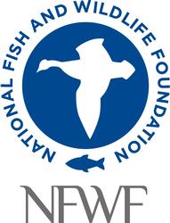 National Fish and Wildlife Foundation National Fish and Wildlife Foundation