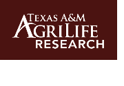 Texas A&M University Logo