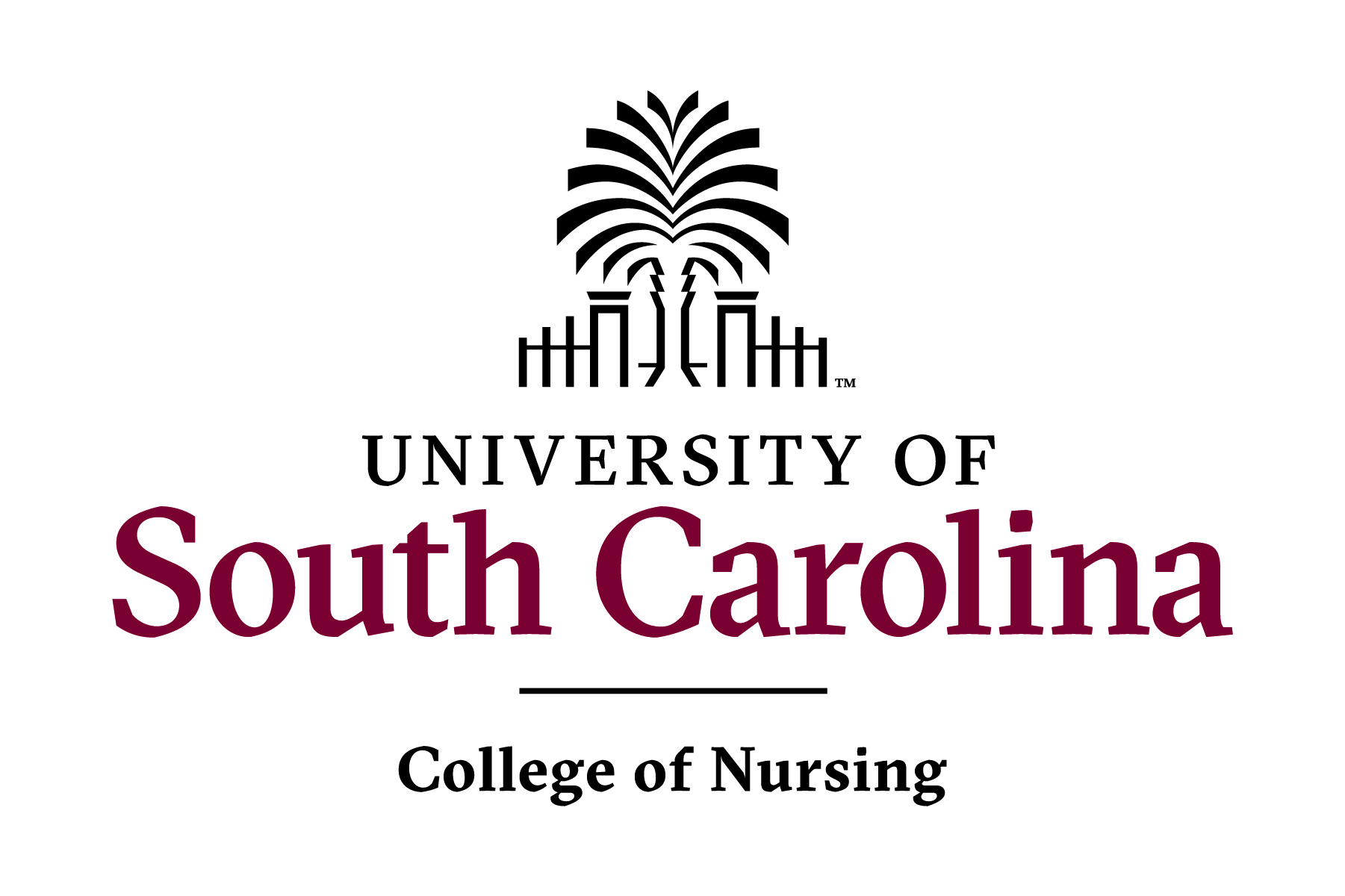 University of South Carolina College of Nursing University of South Carolina College of Nursing