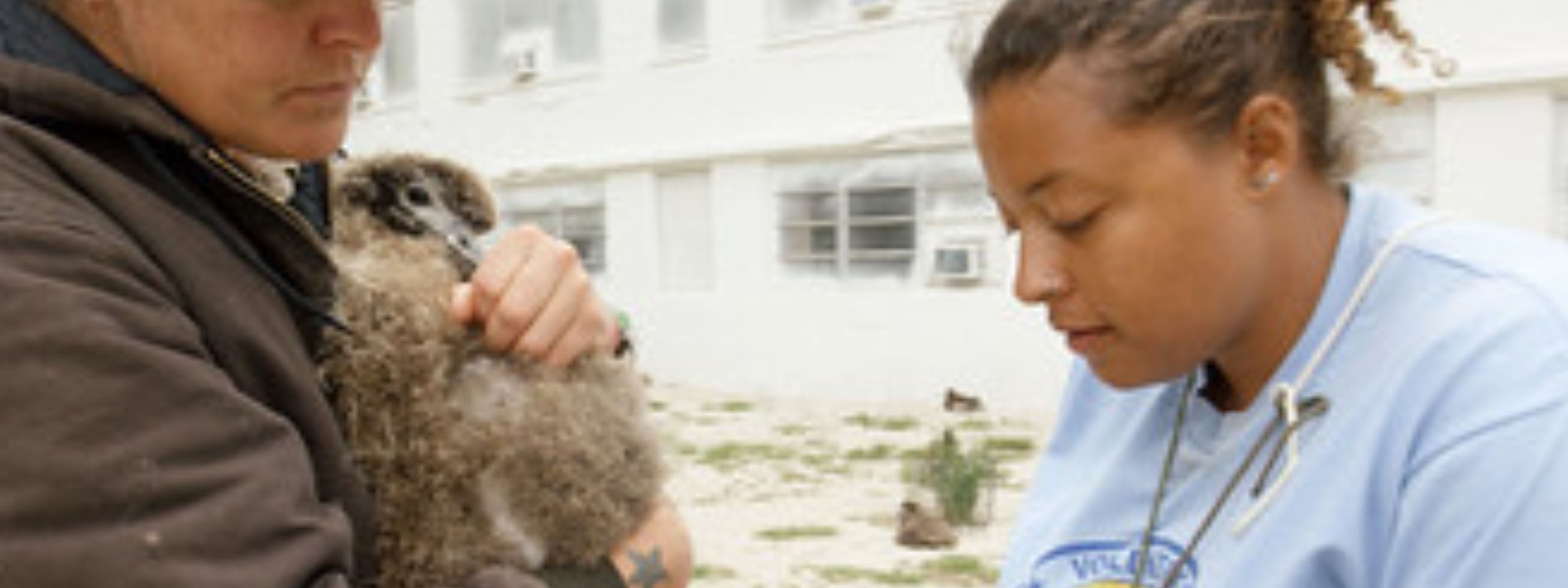 5 Resume Deal-Breakers That Could Disqualify You in Seconds