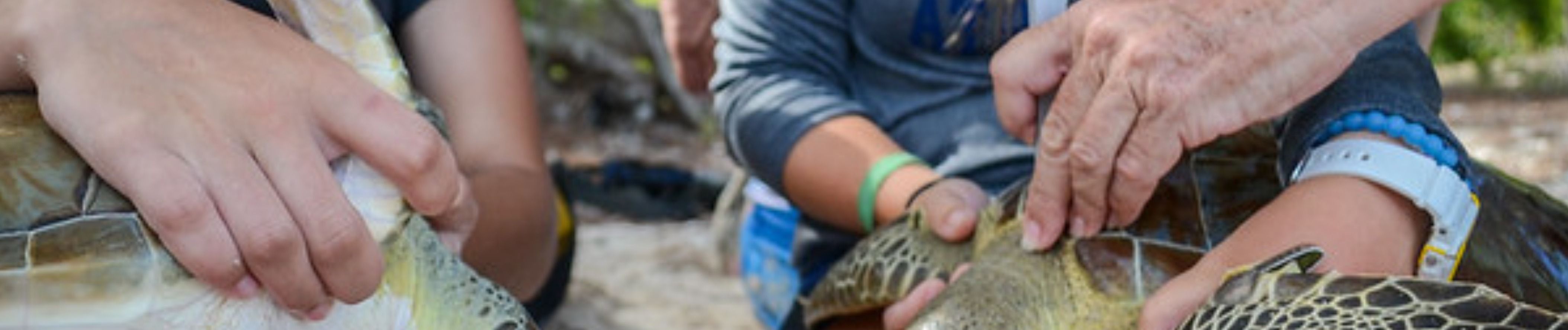 The ‘why did you leave your last job’ question is fraught with peril for the Job Seeker.