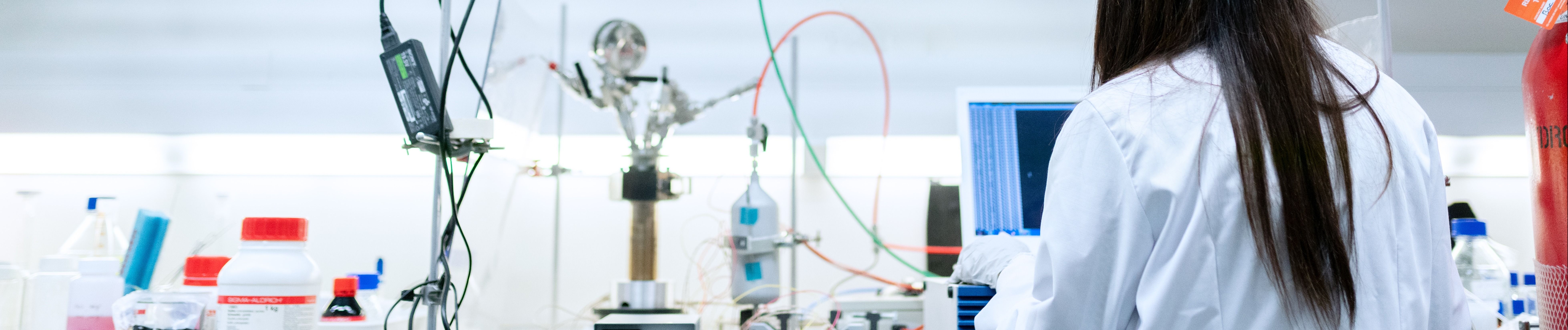 In this webinar, we will hear the perspective of a mid-career researcher, who will detail their experiences navigating the U.S. academic system.