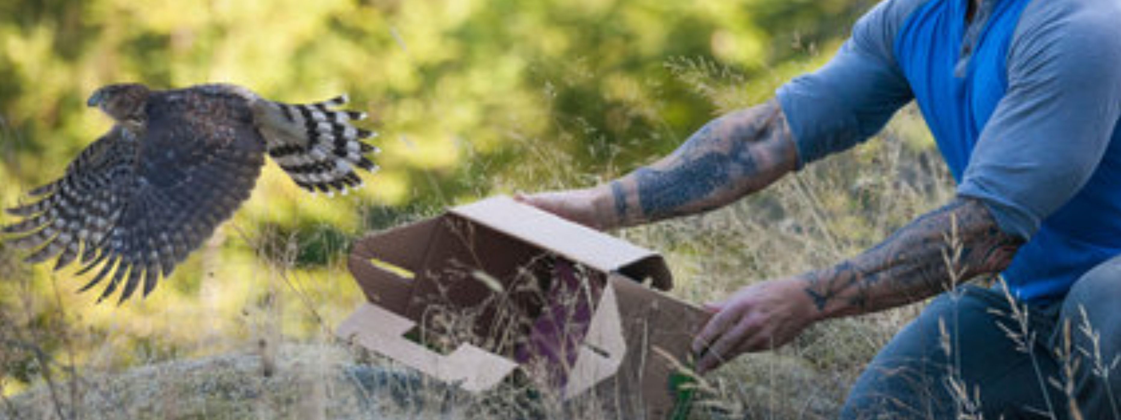 Negotiating Salary and Other Benefits