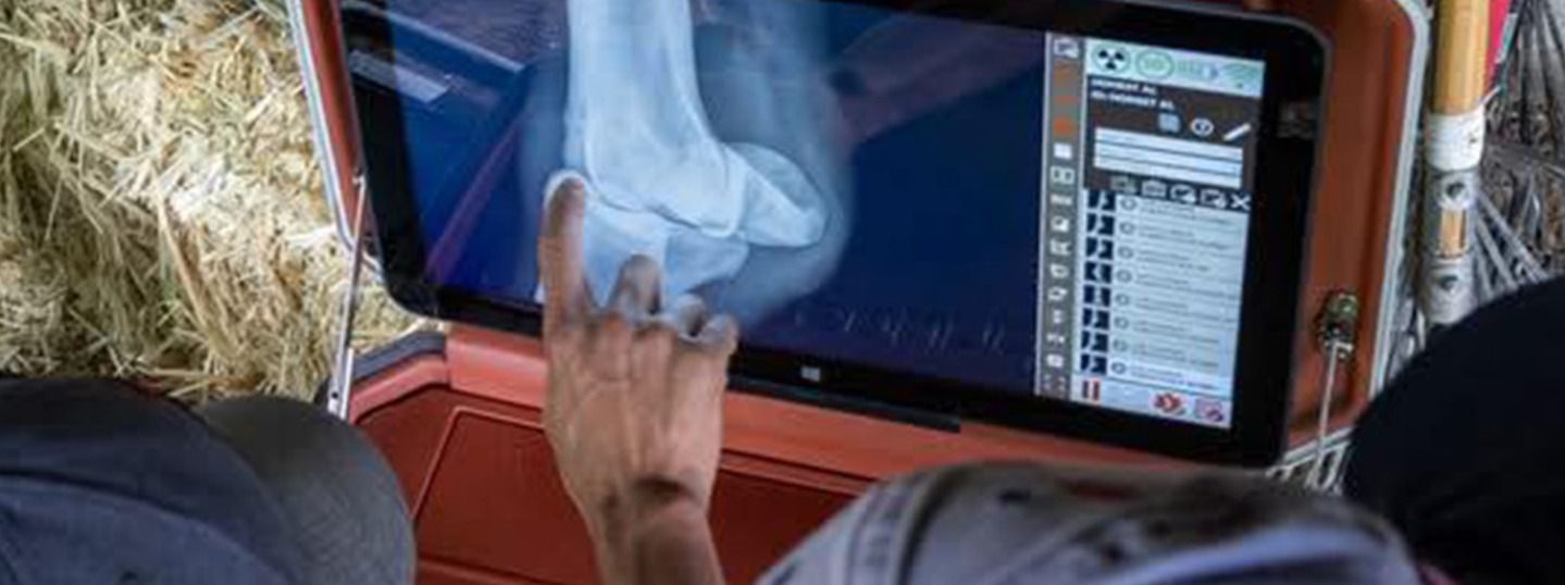 3 Veterinary Careers That Offer Balance Between Professional Growth and Personal Life