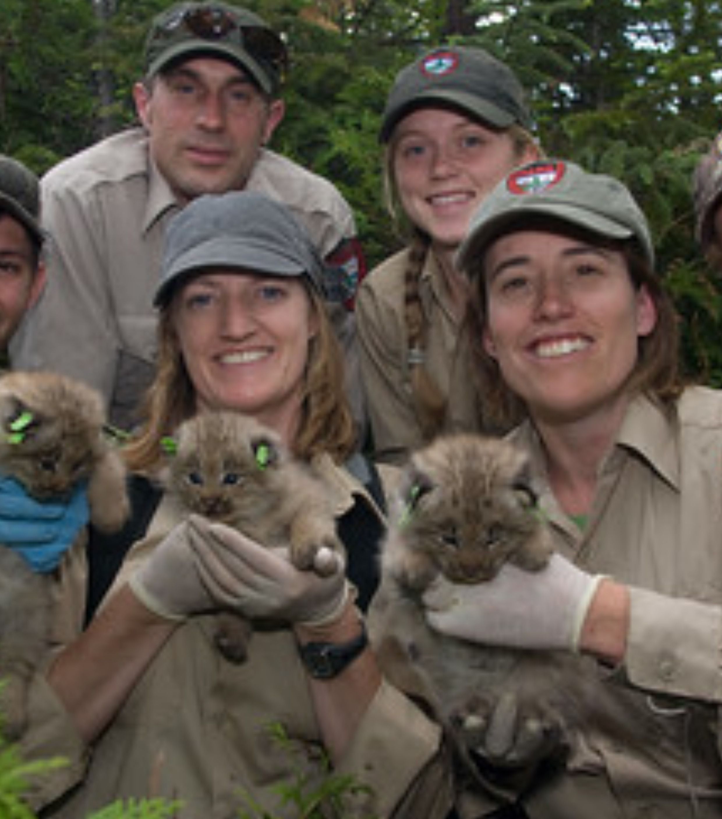 Wildlife Jobs The Wildlife Society